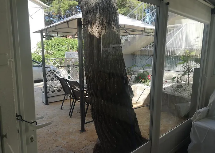Mala Kuca Ispod Borova